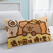 卡皮巴拉水豚枕套双面印花48X74单品长方形宿舍出租屋可拆洗枕套