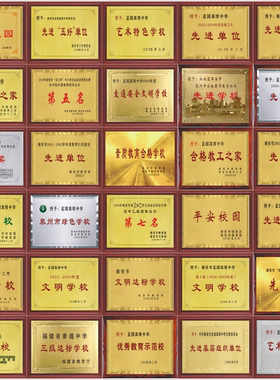 奖牌定制牌匾定做木托金箔荣誉牌铜牌比赛颁奖商会加盟木质授权牌