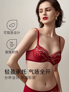 25秋冬伊维斯女舒适软钢圈夹棉杯垫中薄聚拢文胸10841162