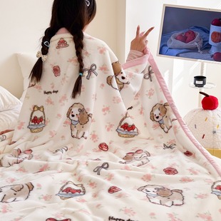 拉舍尔毛毯双层加厚云毯单人宿舍学生儿童毯沙发午睡盖毯冬季被子