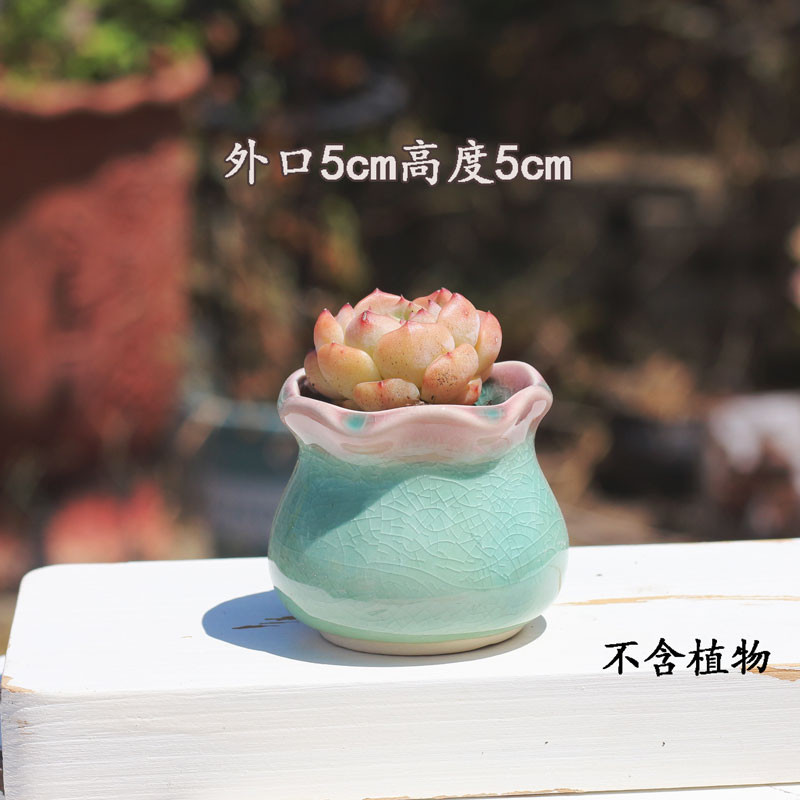 多肉陶瓷花盆冰裂流釉个性简约窑变创意桌面透气装饰ins可爱花盆