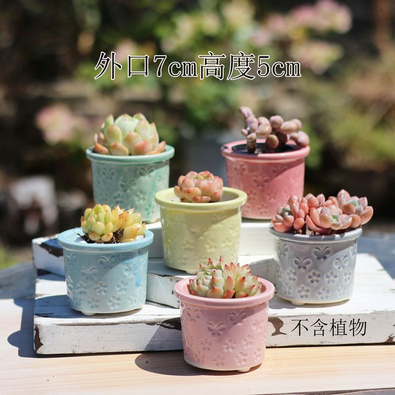 包邮组合多肉花盆窑变麦饭石盆复古大口陶瓷透气吸水拇指老桩特价