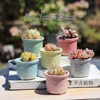 包郵組合多肉花盆窯變麥飯石盆復(fù)古大口陶瓷透氣吸水拇指老樁特價(jià)