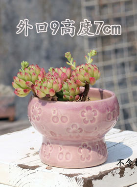 新款印章多肉花盆小号粗陶家用创意简约清新透气植物花器窝口火锅