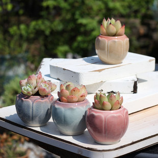 冰裂莲花拇指盆立体手工雕刻粗陶盆透气肉肉小花盆流釉清新陶盆