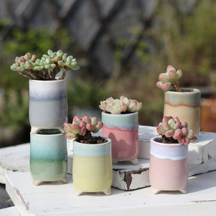 多肉拇指渐变色老桩花盆冰裂流釉喜光盆控养盆透气陶盆肉肉专用盆