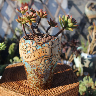 包邮多肉老桩花盆大口径拼盘盆粗陶透气法师盆浮雕手绘盆特价清仓