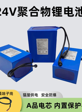 24V锂电池大容量聚合物22.2负LED灯街猫PLC设备可充电25.2V电源