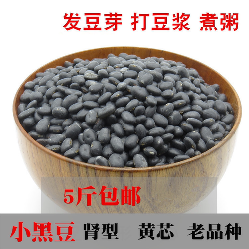 老品种小黑豆发豆芽豆浆肾形黄芯农家自产雄黑豆黄心黑小豆 5斤装