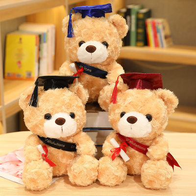 泰迪熊玩偶小熊公仔毕业熊
