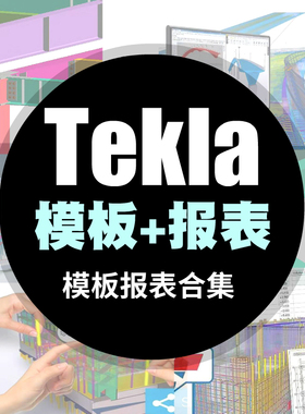 TEKLA报表模板合集初学者资料tekla插件钢结构xsteel设计详图教程