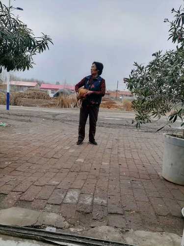 农家农家散养东北笨鸡