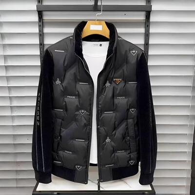 时尚休闲常规羽绒服其他百搭立领