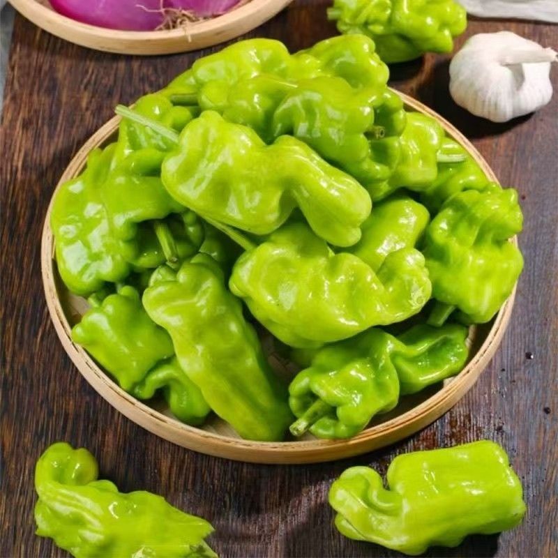 云南新鲜皱皮辣椒搭配菌类炒着吃很香口感脆爽味道