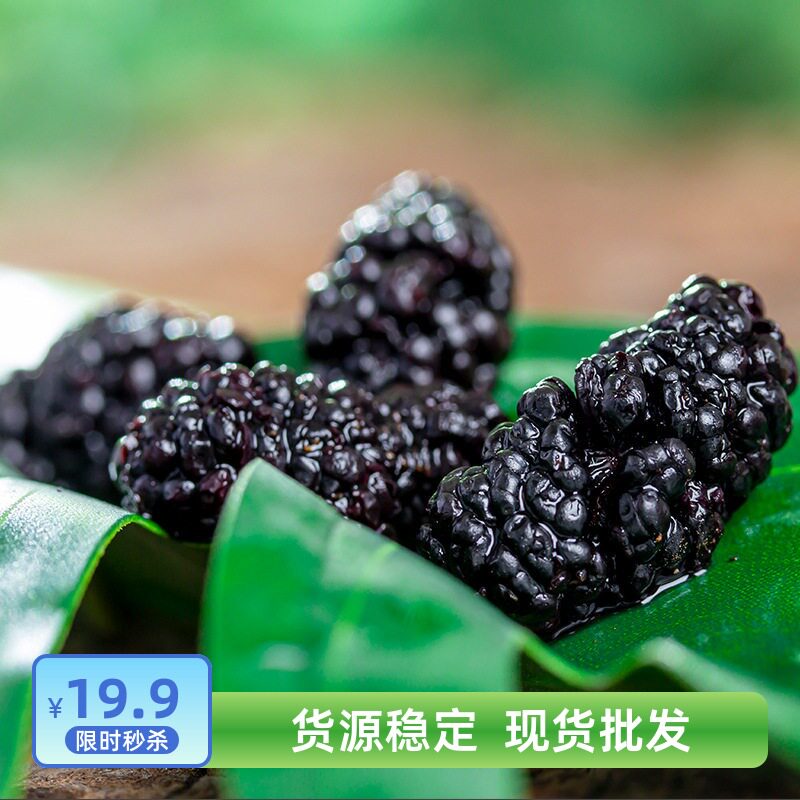 桑葚新鲜头茬干净无沙黑桑椹特级500g包邮新货野生免洗桑甚干果子