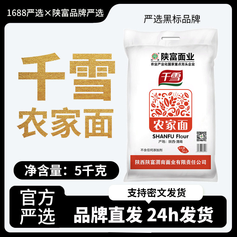 陕富千雪10斤优质小麦家庭通用白面粉饺子面条凉皮包子粉中筋麦芯