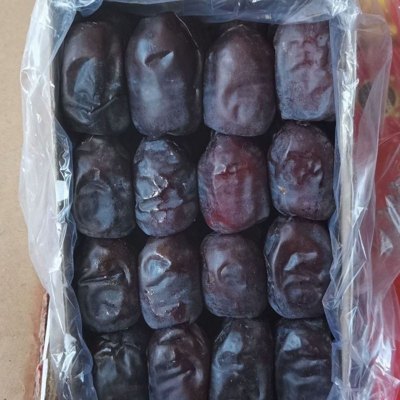 [整件]伊朗鲜椰枣伊朗盒装面包黑椰枣500g新疆/浙江包邮