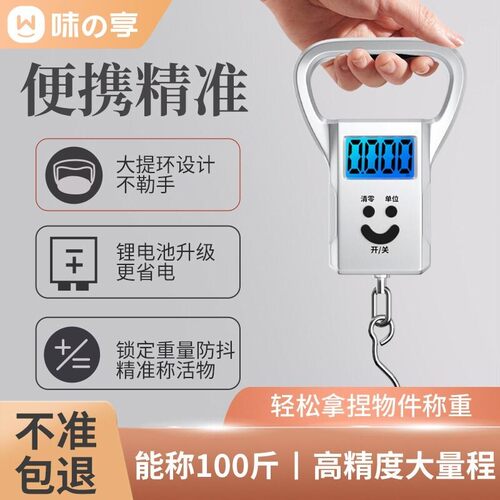 手提电子秤便携式高精准家用小型买菜称弹簧称行李称重商用