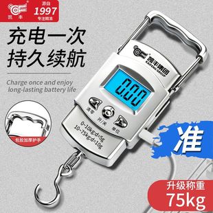 高精度手提电子秤家用买菜小型精准弹簧秤便携充电式护手吊钩秤