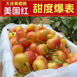 大连黄樱桃黄车金车现摘现发国产车厘子孕妇新鲜水果整箱顺丰包邮