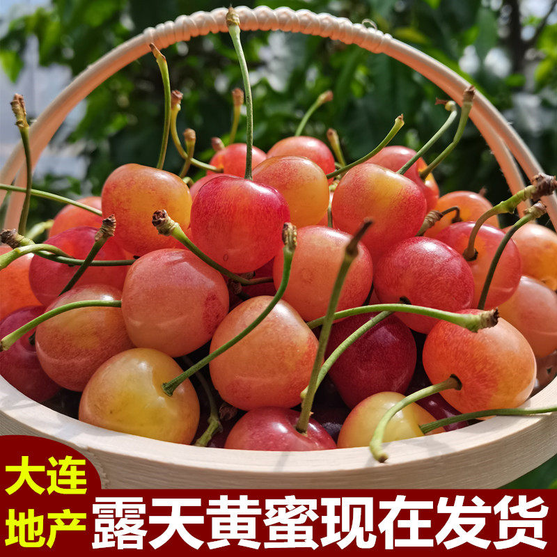 大连黄蜜水晶小樱桃软甜国产车厘子孕妇当季新鲜水果整箱顺丰包邮