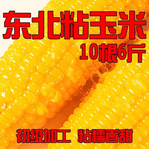 东北玉米新鲜黄糯玉米大棒非转基因真空甜黏现摘零添加粘苞米10根