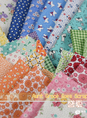 美国进口棉布 Aunt grace goes scrappy 复刻 盛夏 手工拼布 J4