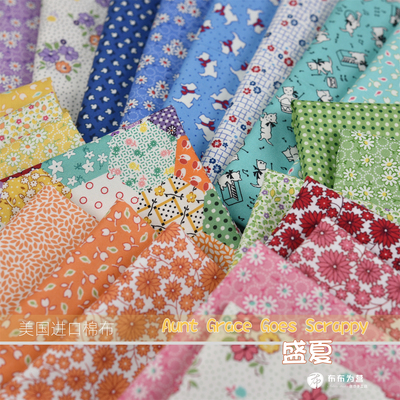 美国进口棉布 Aunt grace goes scrappy 复刻 盛夏 手工拼布 J4