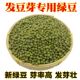 发豆芽专用 包邮 绿豆种子 二斤 可煮粥 东北农家自种绿豆