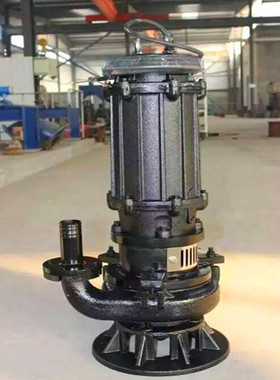 2寸上海人民泵业潜水排污泵 304全不锈钢潜污泵 WQ15-10-1.1