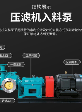 石家庄水泵总厂工业泵厂渣浆泥浆泵 派克森力克压滤机电动入料泵