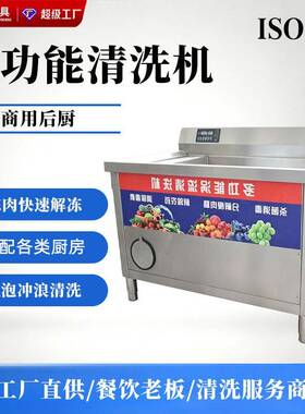 星蓝多功能涡流清洗机商用果蔬洗菜机气泡清洗去农残餐饮创业设备