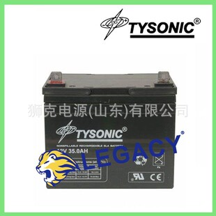 美国TYSONIC蓄电池TY6-36/6V36AH、TY6-100、6V100AH免维护电瓶