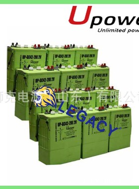美国UPOWER蓄电池UP-GC16-6RE 6V550Ah/100小时升降平台电瓶