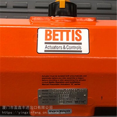 BETTIS贝蒂斯执行器机构气缸保养包.VA121873-D