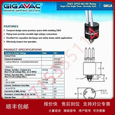 议价G28 G32 G38 G62A G62B G30 G20 G61A G61B G61LA 继电器GIGA
