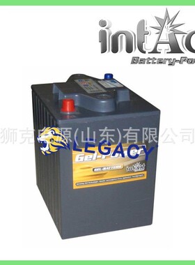 德国intAct蓄电池 GEL-Power 6V-180AhV1凝胶动力牵引电瓶
