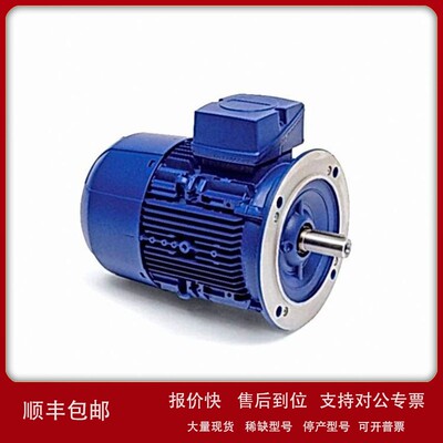 议价原装进口供应BIRKENBEUL三相电机P100L-4S 电动机冷却风扇