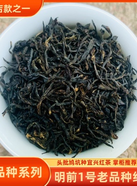 2025新明前头批鸠坑种宜兴红茶花果香阳羡老品种茶叶散装包邮特级