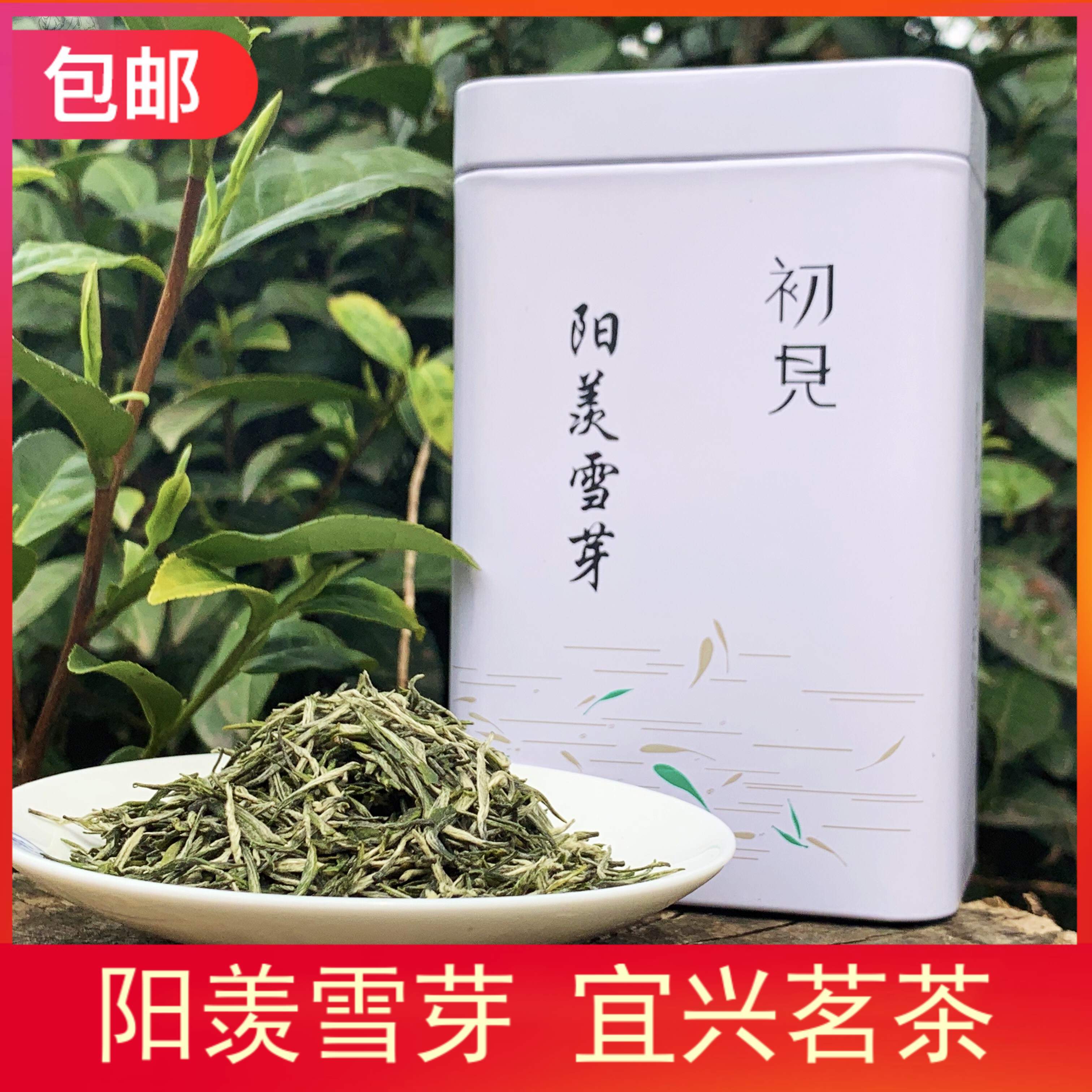 绿雪芽问叶福鼎白茶2021新茶明前一级白毫银针高山散茶简装50g_绿雪芽茶叶旗舰店