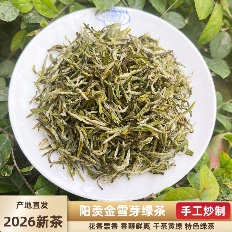 地方特色绿茶老种2026明前新茶宜兴金雪芽特级阳羡绿茶包邮125g
