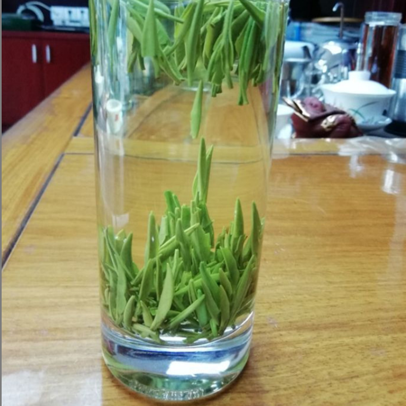 2025年春芽有机绿茶石门银峰夹山贡芽牛抵茶雀舌银针茶250克包邮