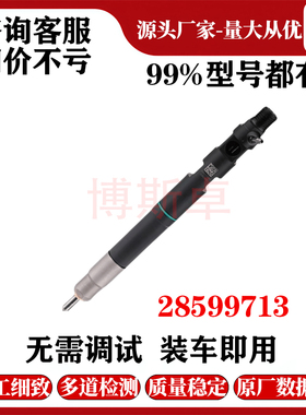28599713共轨柴油喷油器1100100XED95适用于德尔福 4D20M发动机