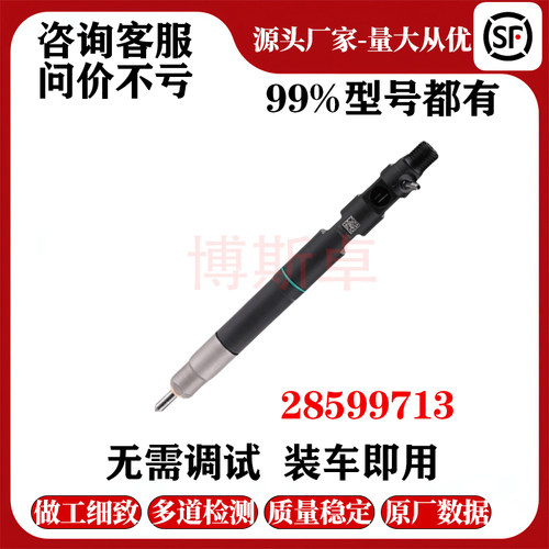 28599713共轨柴油喷油器1100100XED95适用于德尔福 4D20M发动机