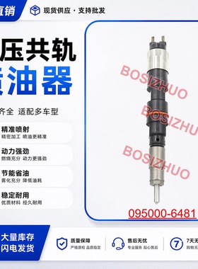095000-6481喷油器总成RE528407柴油喷油器适用于 约翰迪尔