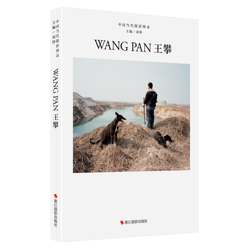 中国当代摄影图录：王攀精装 刘铮主编 观念摄影艺术家世界当代摄影大师成名作摄影高清作品集/新纪实摄影照片解析/摄影作品画册鉴
