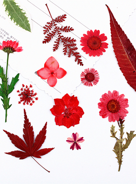 红色系花朵组合 花田系列干花压花材料包植物标本绣球白晶菊蕾丝
