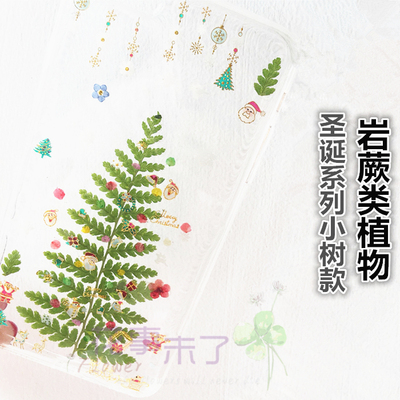 圣诞树滴胶植物标本diy天然干花