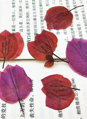三角梅干花押花手工植物标本香薰