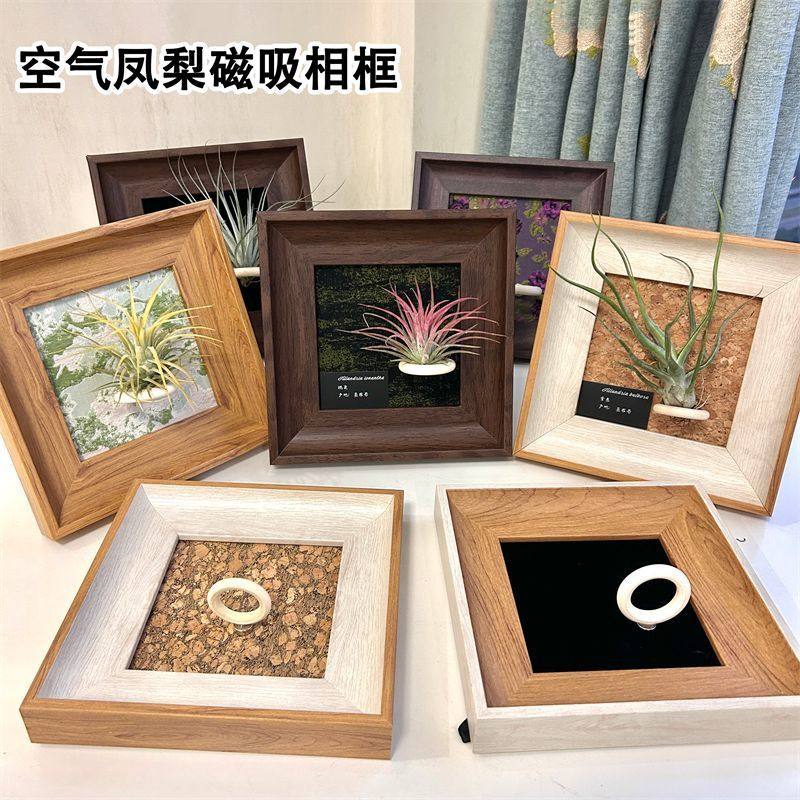 ins空气凤梨简约软装绿植现代装饰画办公室墙上宿舍磁吸款5寸相框